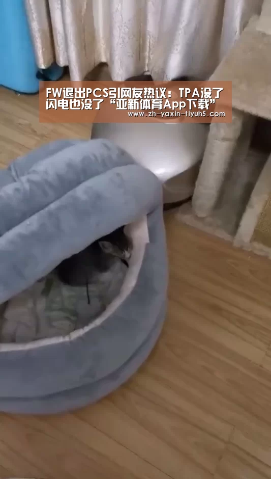 亚新体育App下载