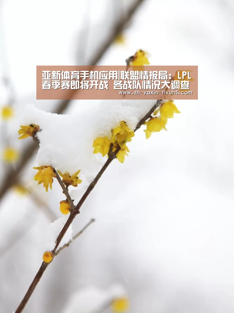 亚新体育App下载