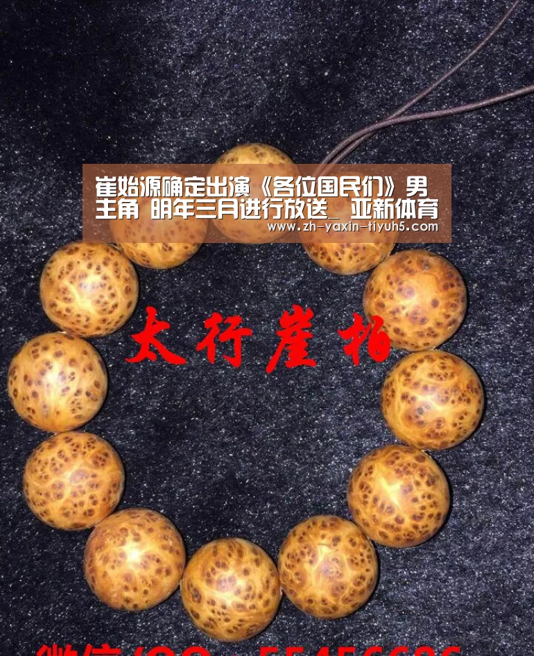 崔始源确定出演《各位国民们》男主角 明年三月进行放送_ 亚新体育手机应用(图4) 亚新体育App下载